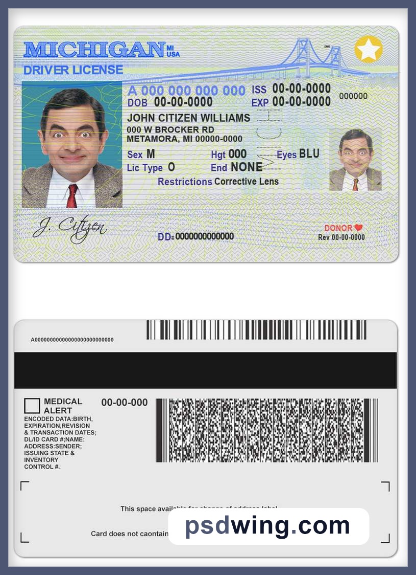 USA Michigan Driving License